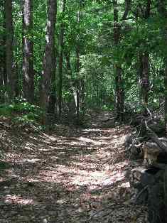 My turnaround point (still Banning Road?)